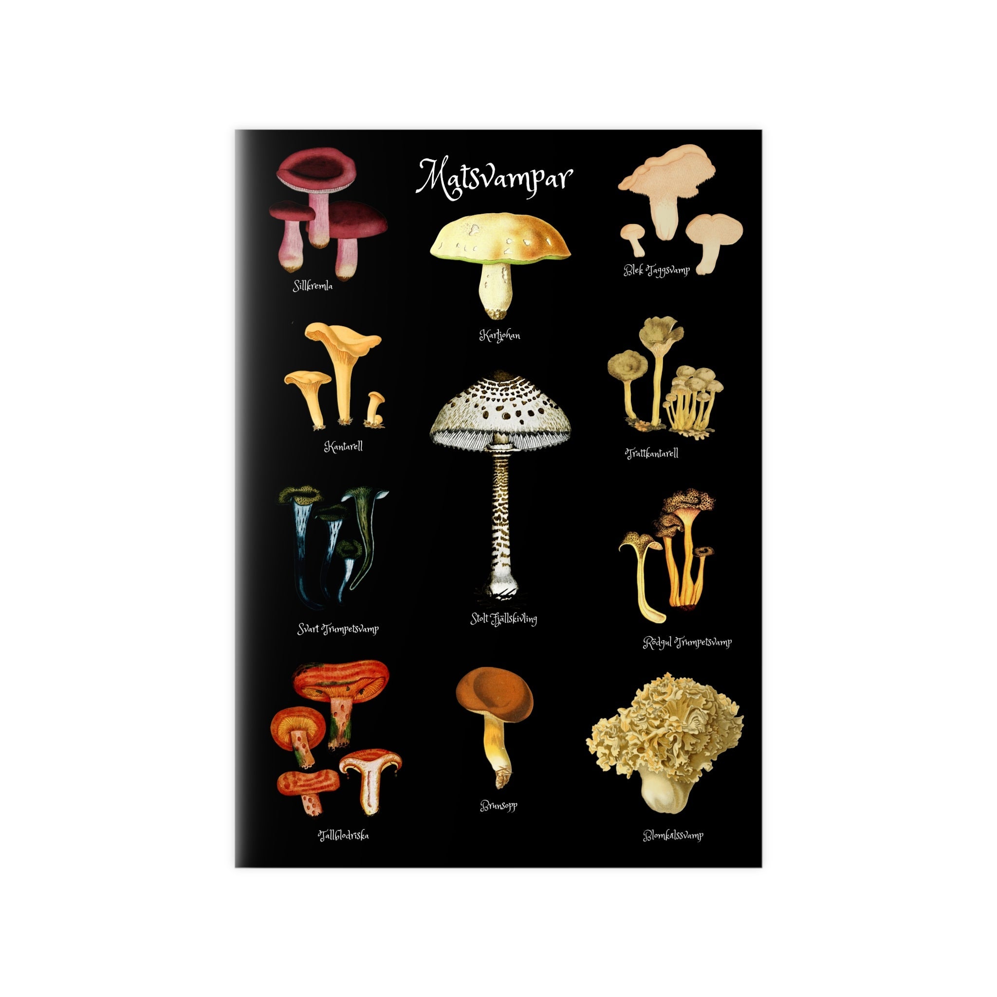 MUSHROOMS