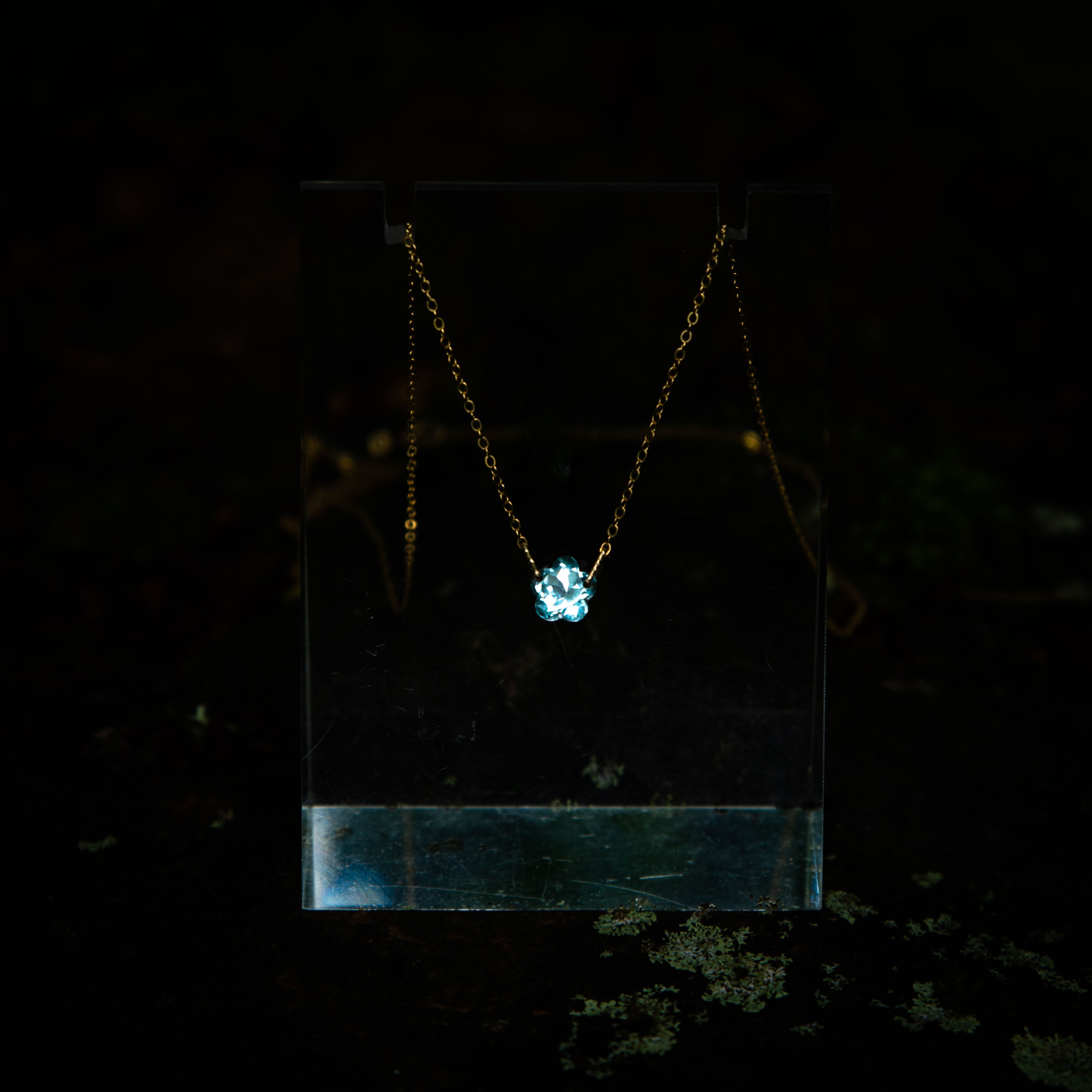 In the Realms of the Elfen Queen