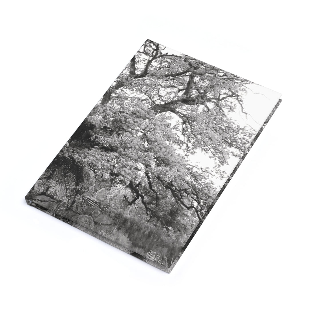 The Thousand Year Oak Tree - Notebook