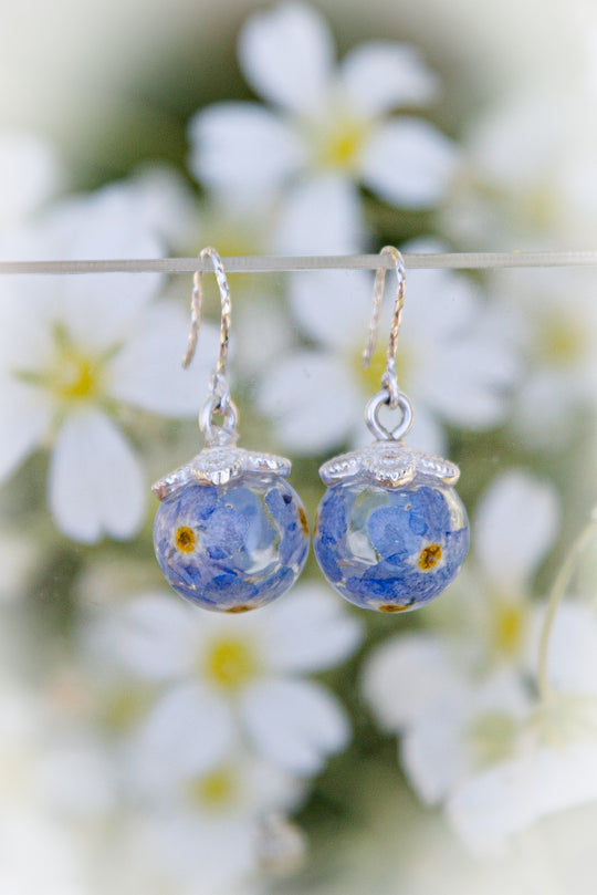 Forget Me Not - Silver earrings with real flowers