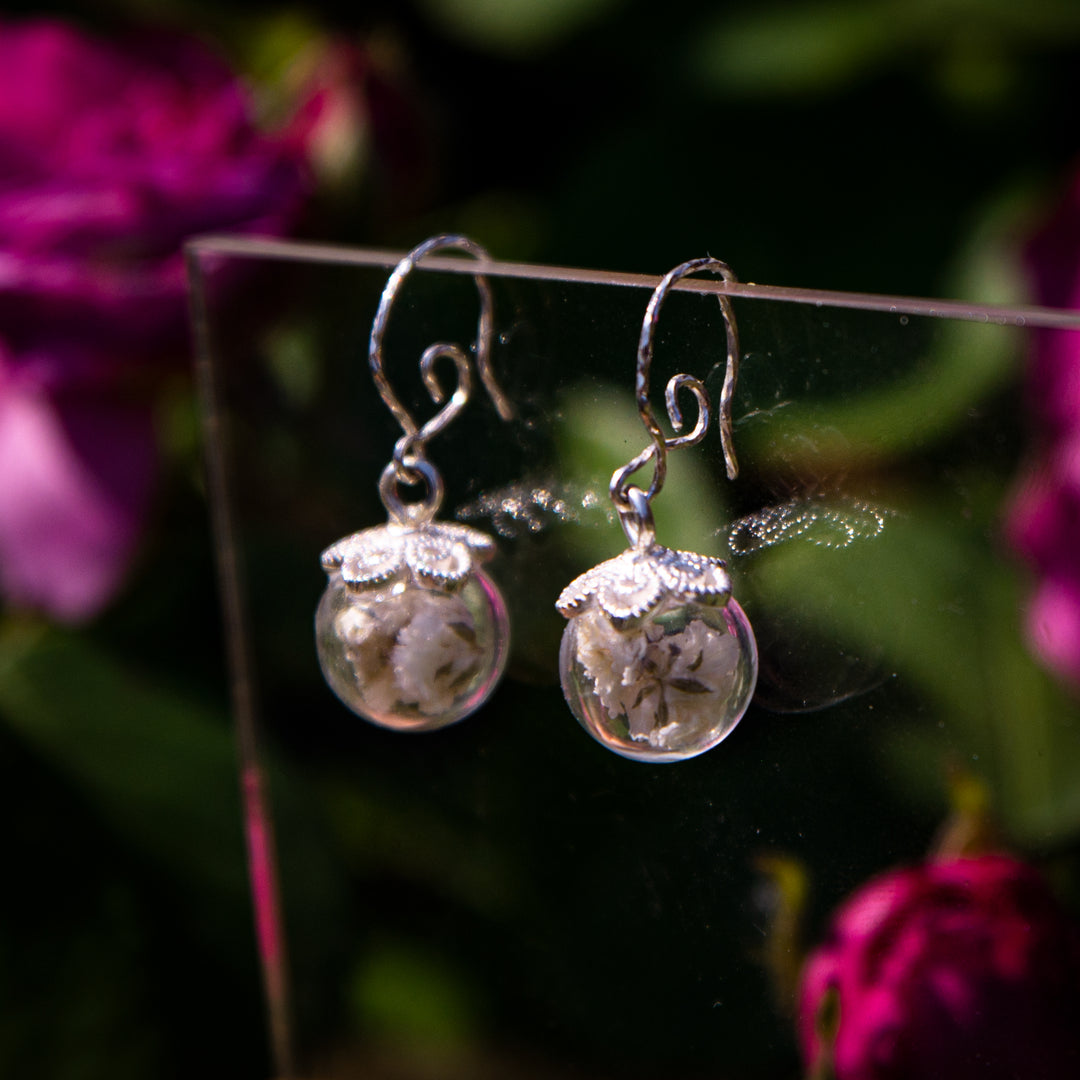 Baby's breath - Silver earrings with real flowers