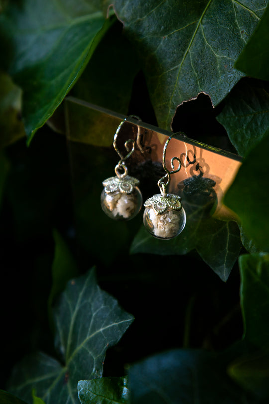 Baby's breath - Silver earrings with real flowers