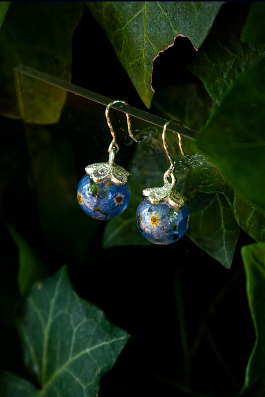 Forget Me Not - Silver earrings with real flowers