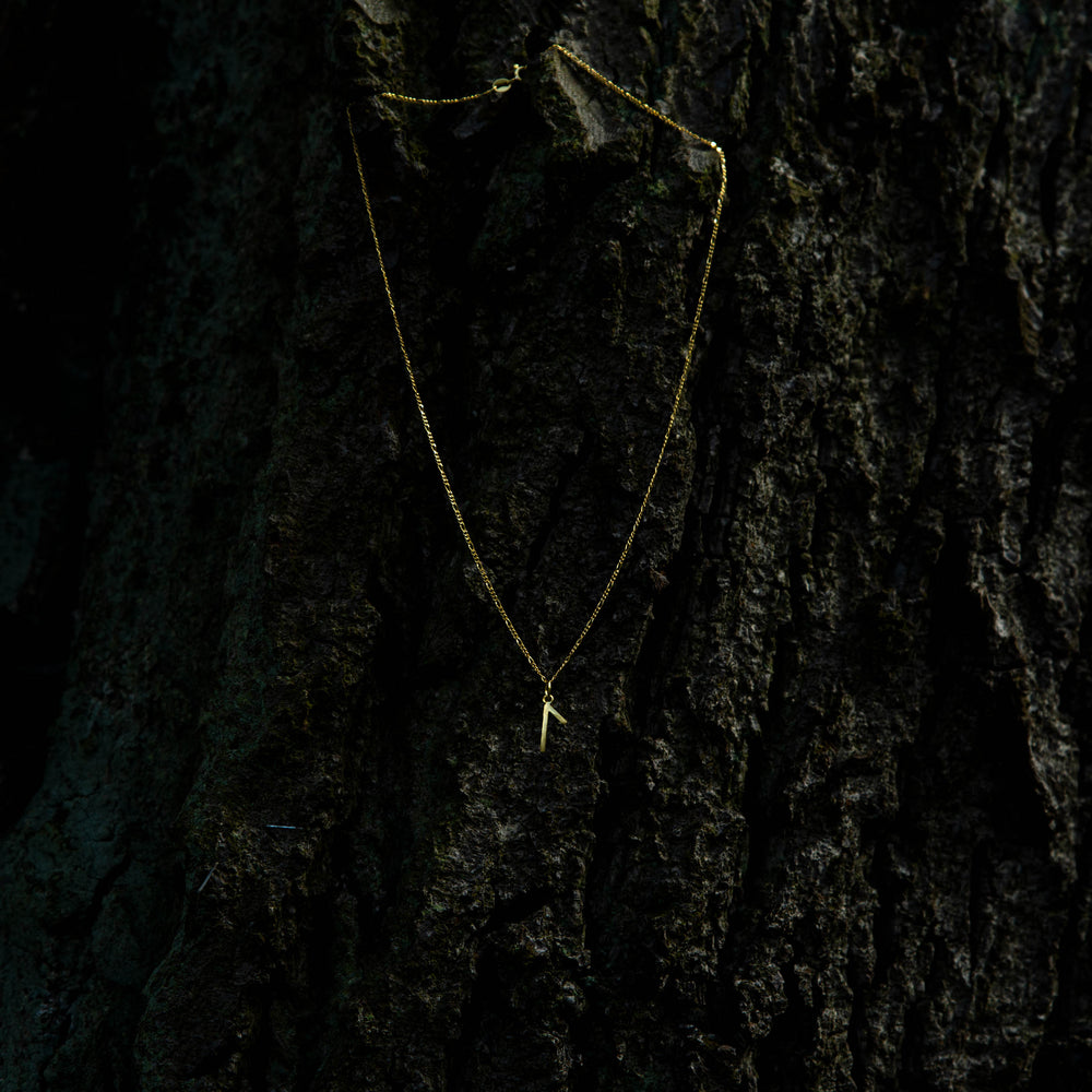 Necklace with the Rune Laguz