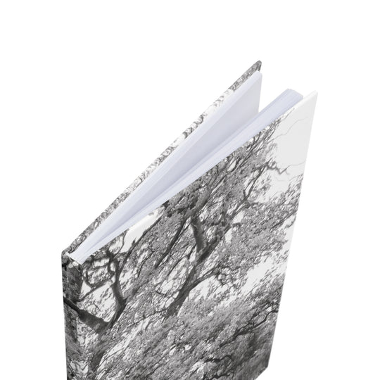 The Thousand Year Oak Tree - Notebook