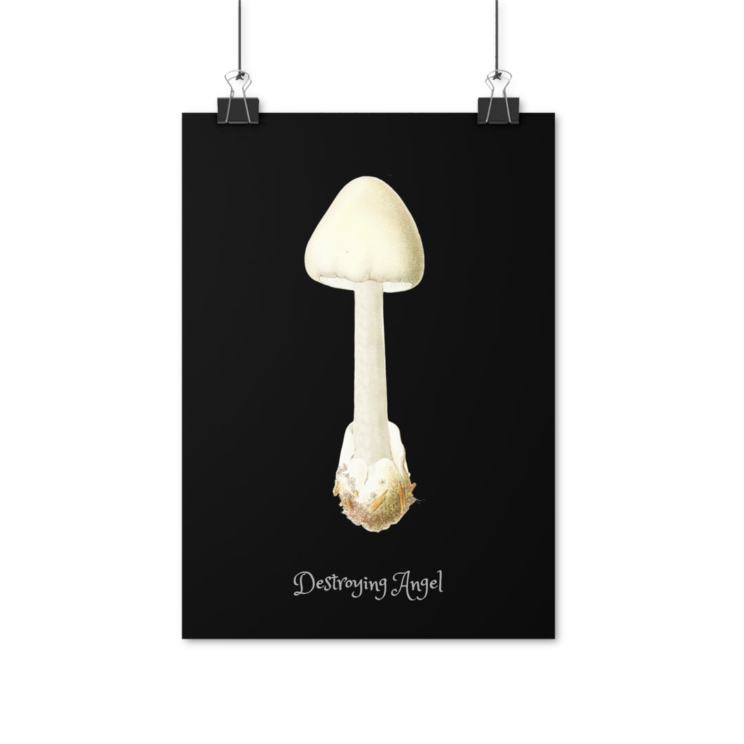 Destroying Angel (English text on print)