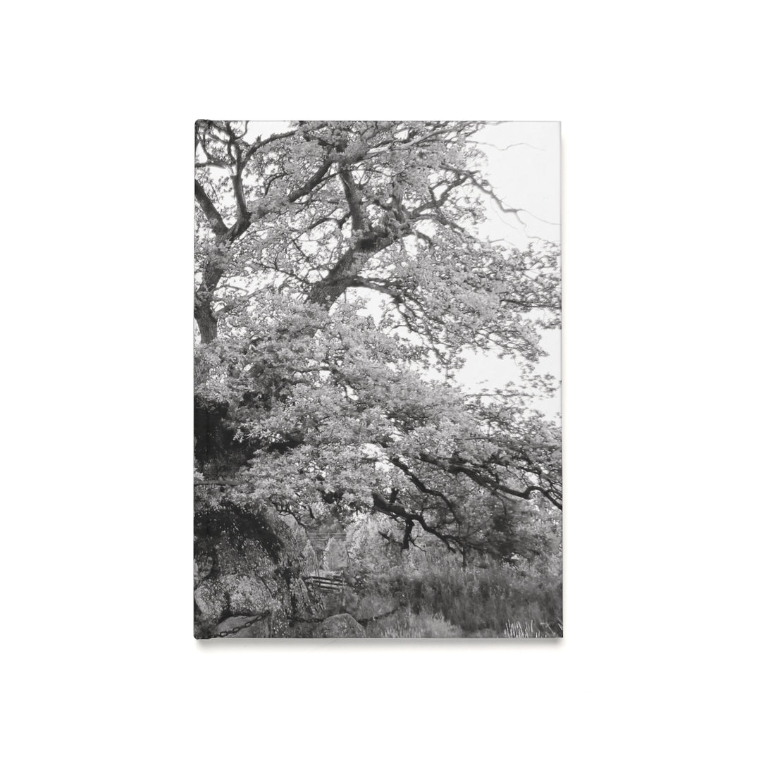 The Thousand Year Oak Tree - Notebook