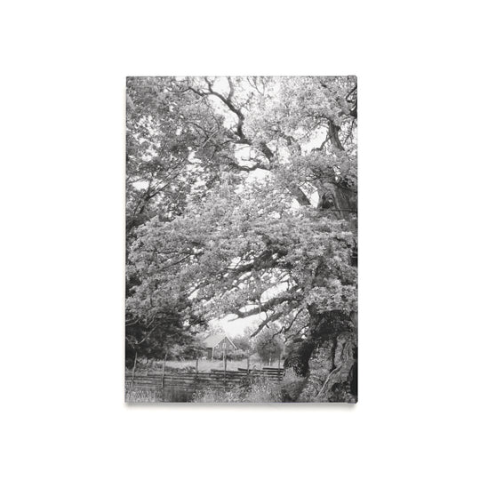 The Thousand Year Oak Tree - Notebook