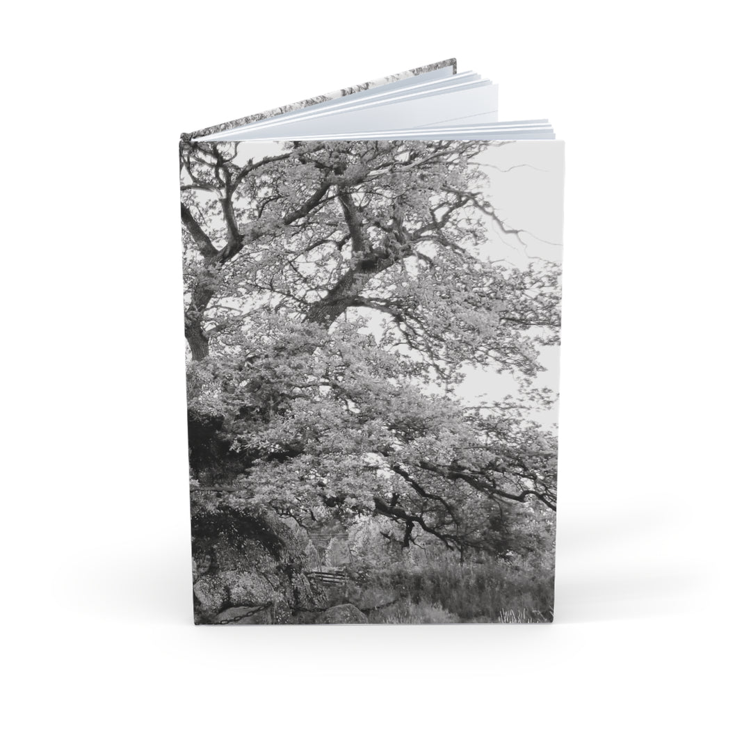 The Thousand Year Oak Tree - Notebook